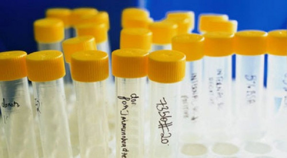 gallery/550755_907032